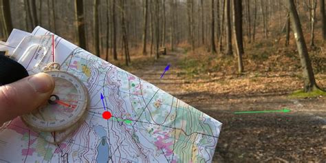 Enfants en activité d'orientation dans la nature